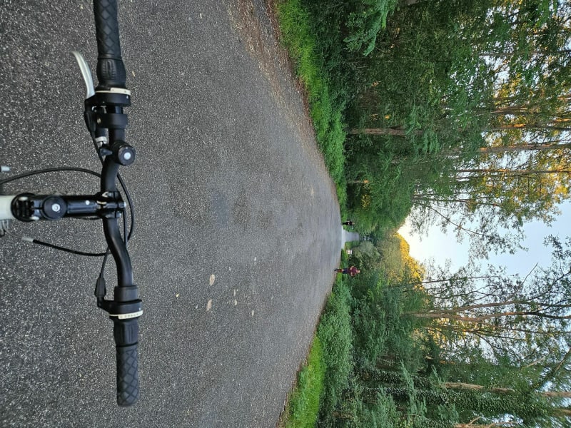 Balade bois de Pau - Pau