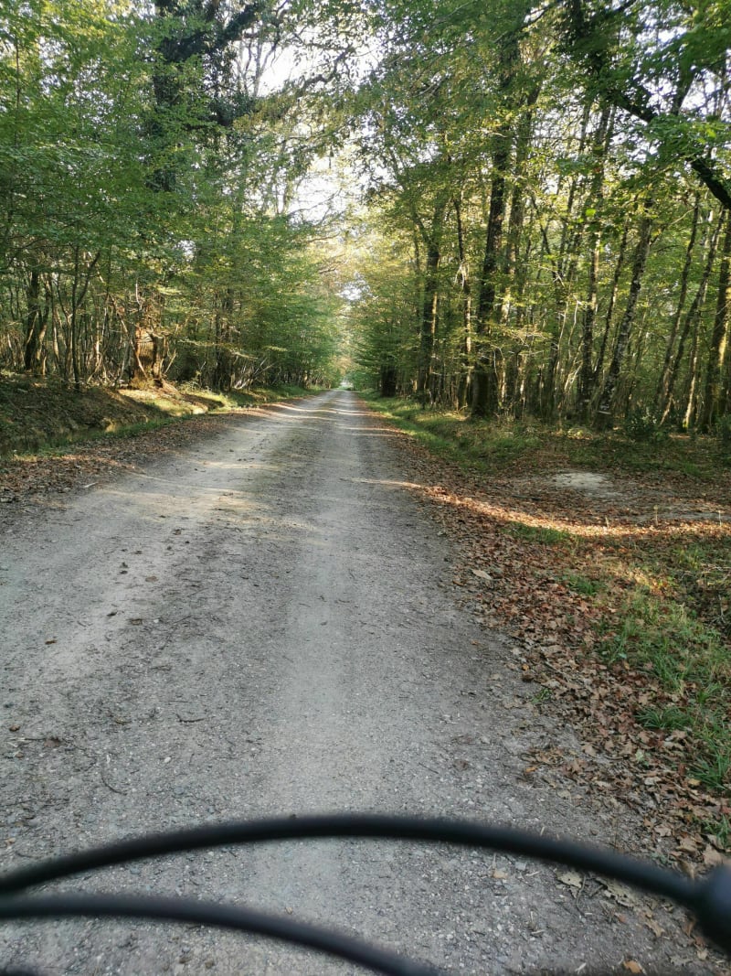 Balade champêtre en pays de Valençay - Lye