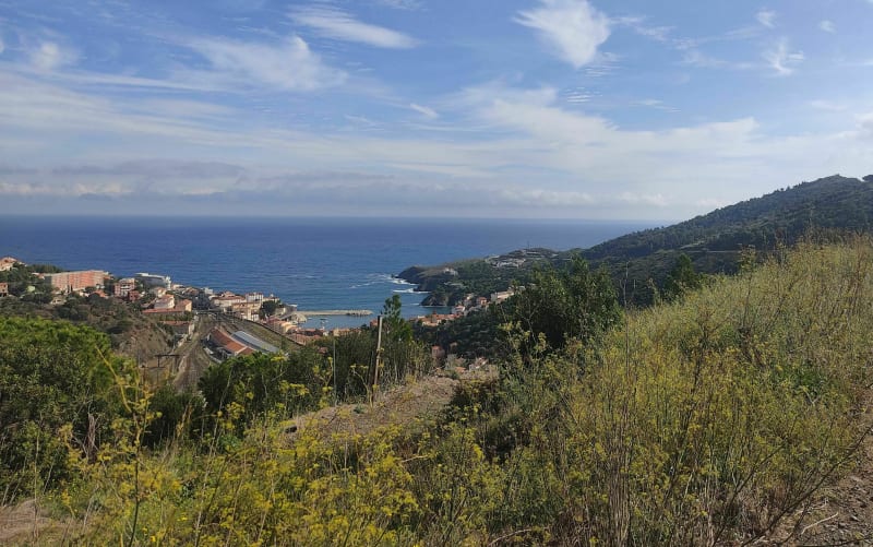 Coll de la Fareille - Cerbère