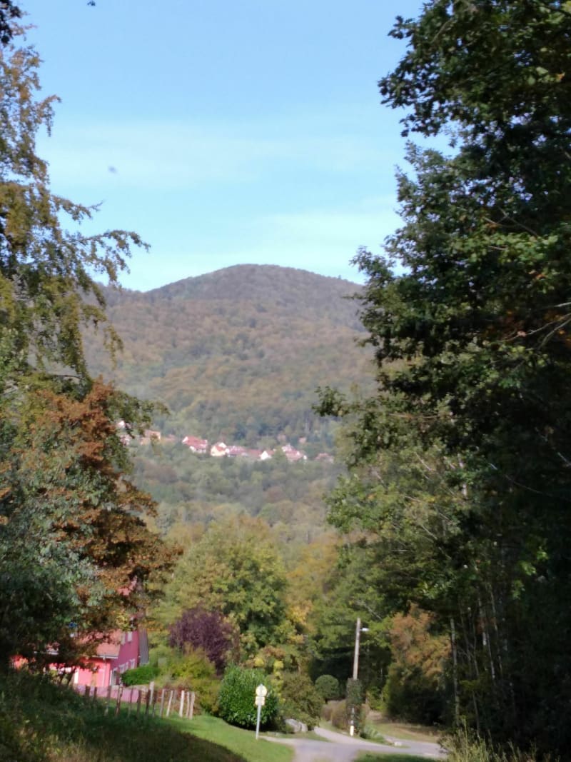 Sur les hauteurs de Plancher-Bas - Plancher-Bas