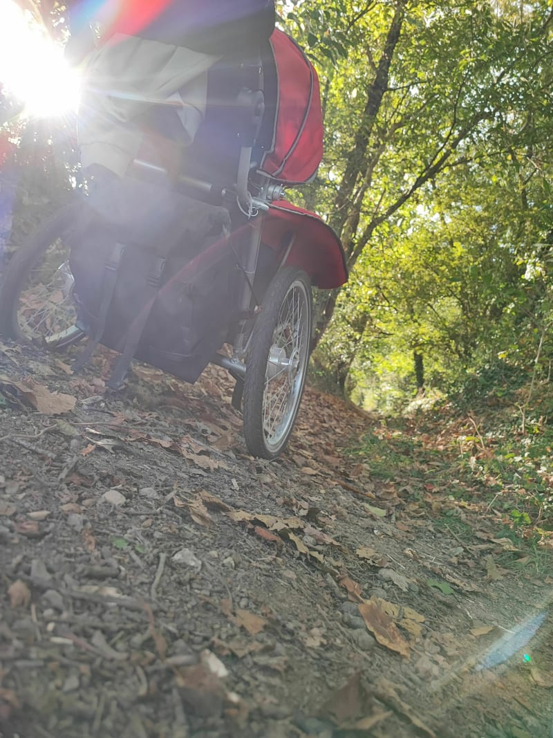 Balade à pied dans les chemins pédestres à Le Genest - Le Genest-Saint-Isle