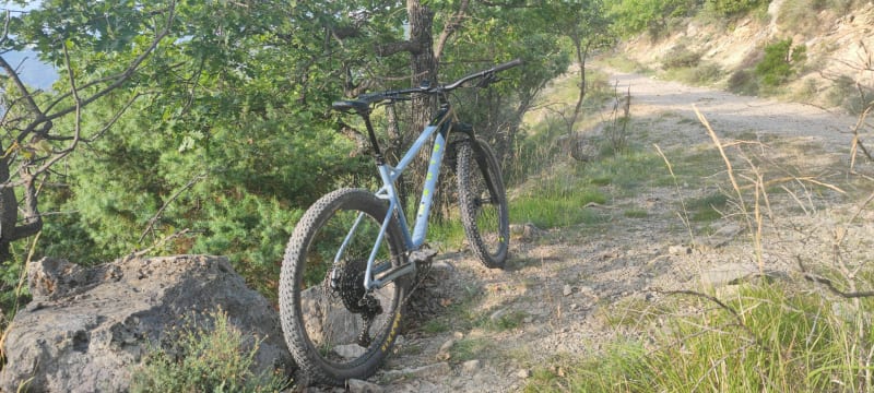 Single et sous bois à Arbanats - Arbanats