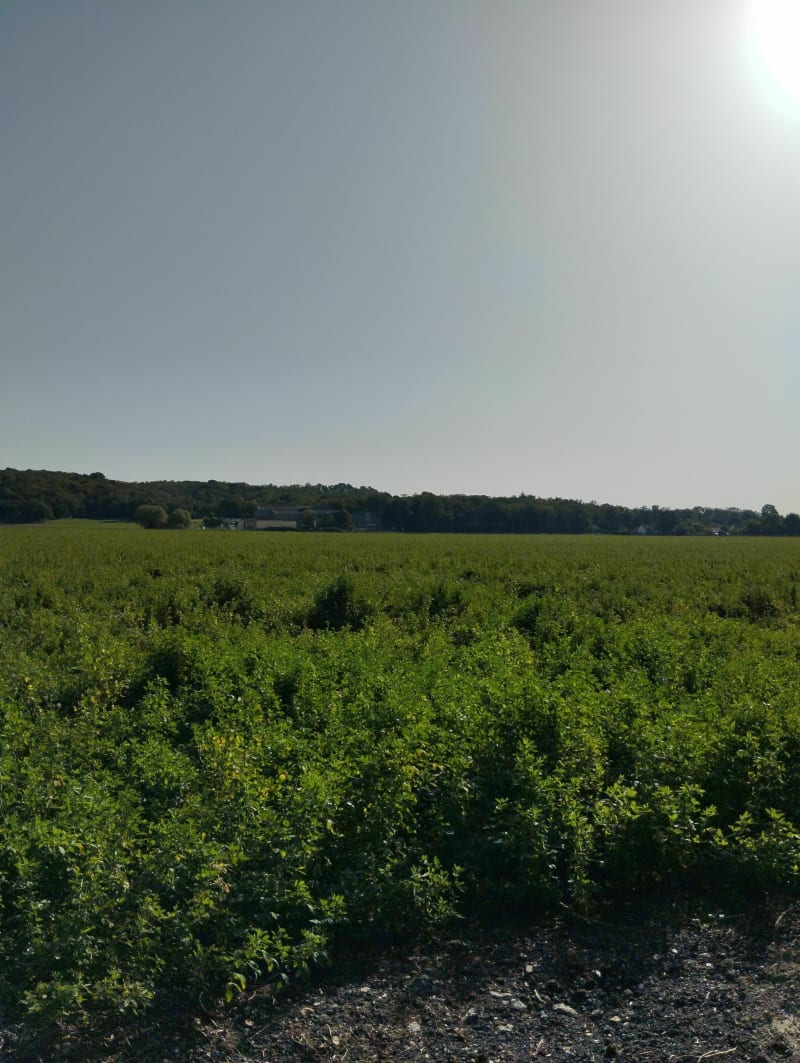 Belvédère de Noisy-sur-Ecole - Milly-la-Forêt