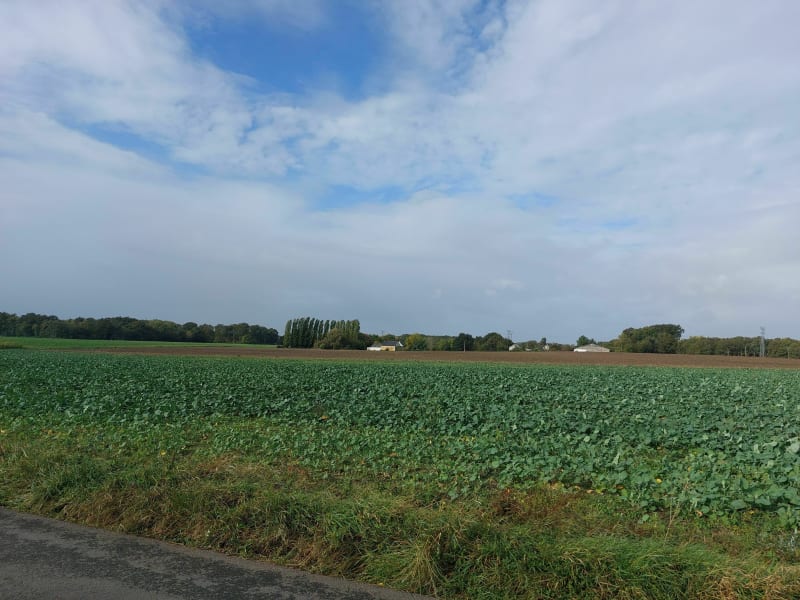 Balade dans la campagne Grammoirienne - Le Plessis-Grammoire