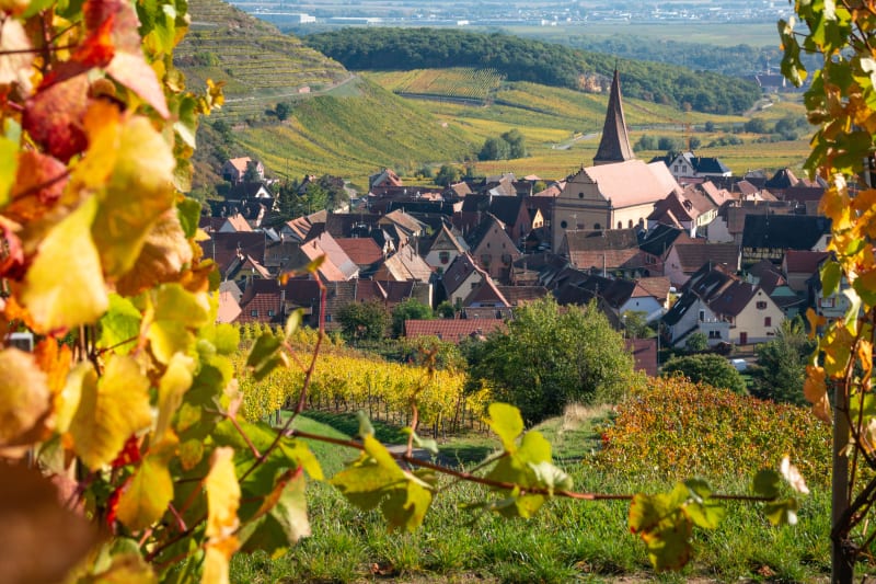 Kochersberg, berceau de la tarte flambée - Vendenheim