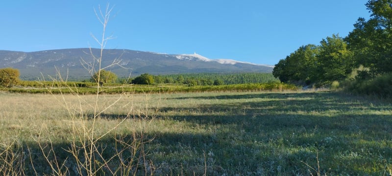 Balade à Ste-Colombe - Bédoin