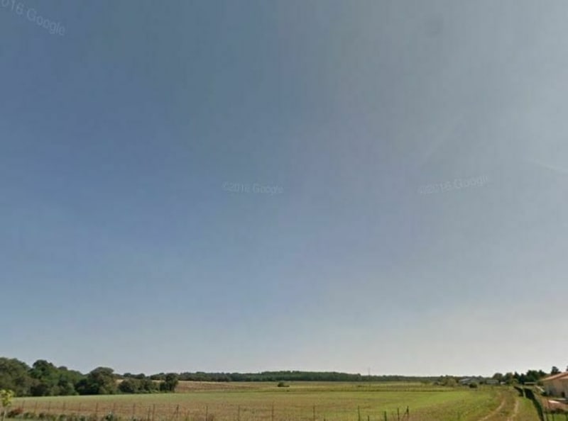 Tronc, Charasse, forêt de Moulière Bignoux - Montamisé