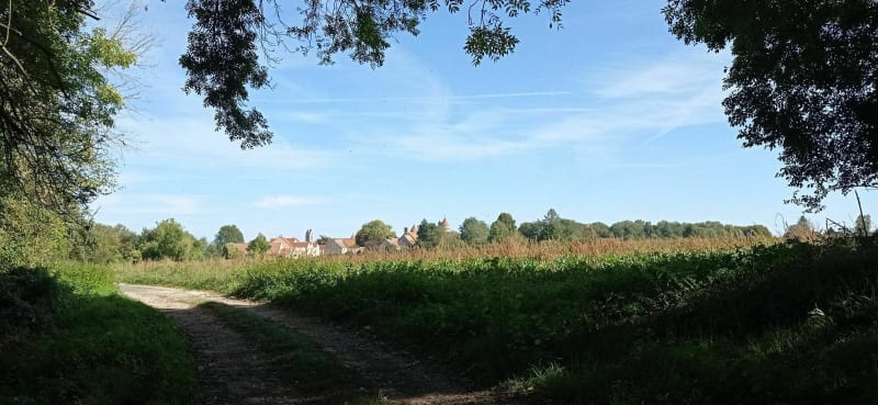 Chemins et routes au départ de Guignes - Guignes