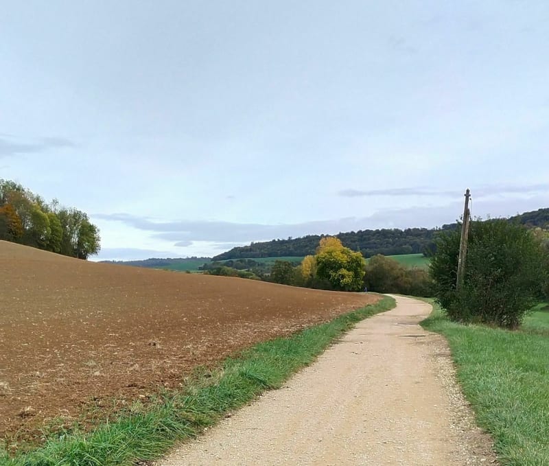 Un huit à vélo, entre Custines et Malleloy - Custines