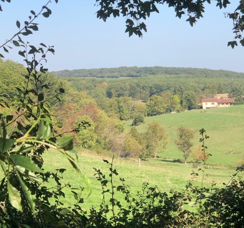 Sortie en forêt de Verzé - Mâcon