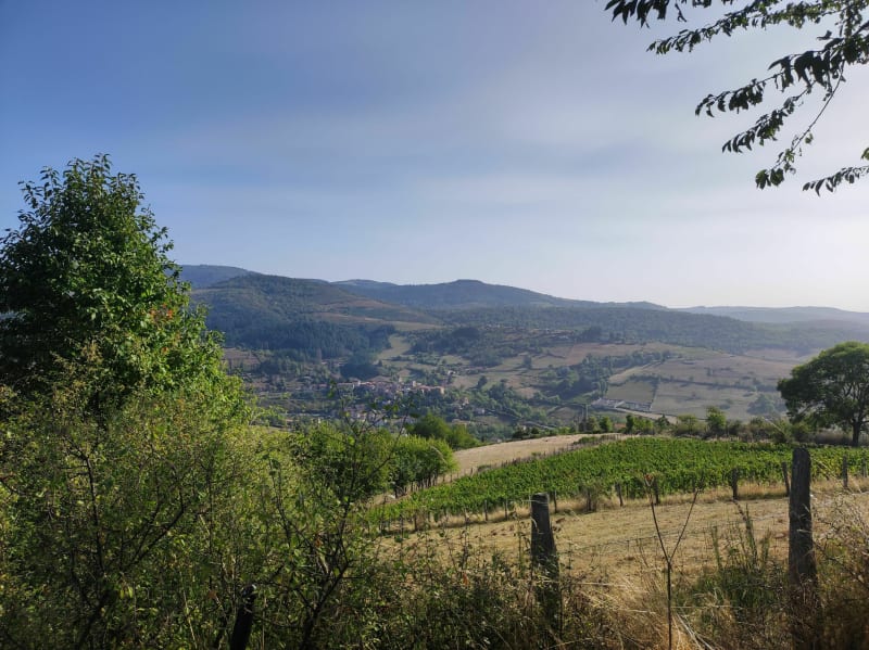 Vieille route l'Antoine et le Creux les Vignes depuis Chamelet - Chamelet