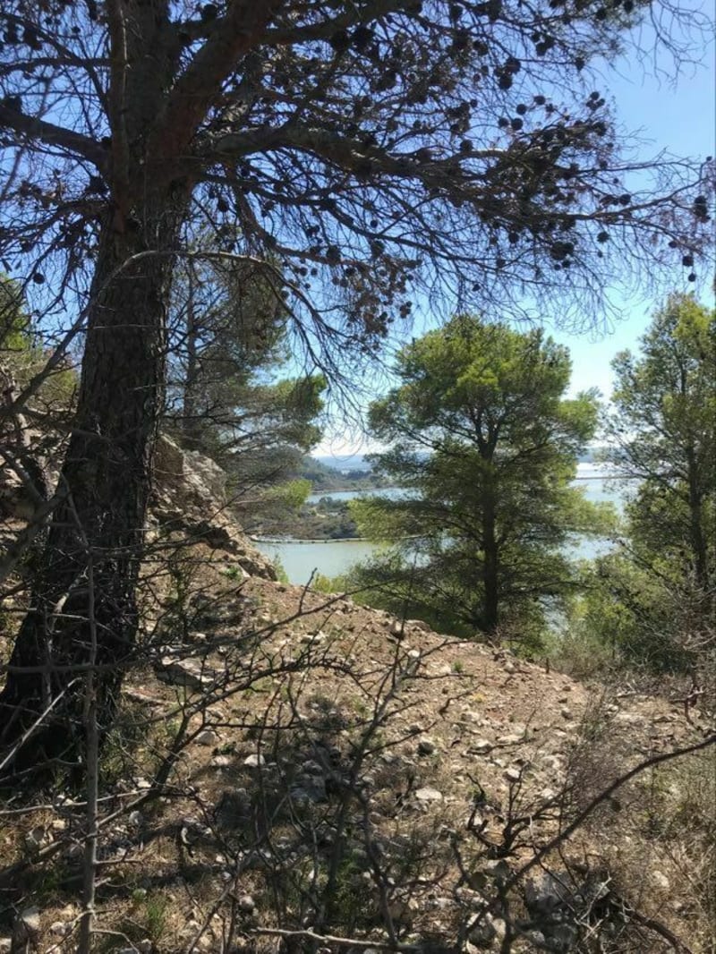 Autour de l'étang du Doul - Peyriac-de-Mer