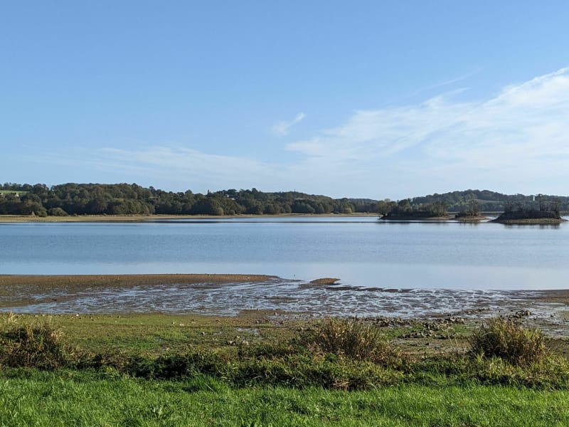 Tour de L' Étang de la Cantache depuis Villaumur - Pocé-les-Bois
