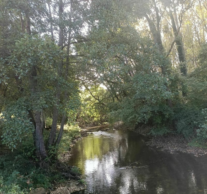 Balade à Amilly, détour par les Savoies et les Népruns - Amilly
