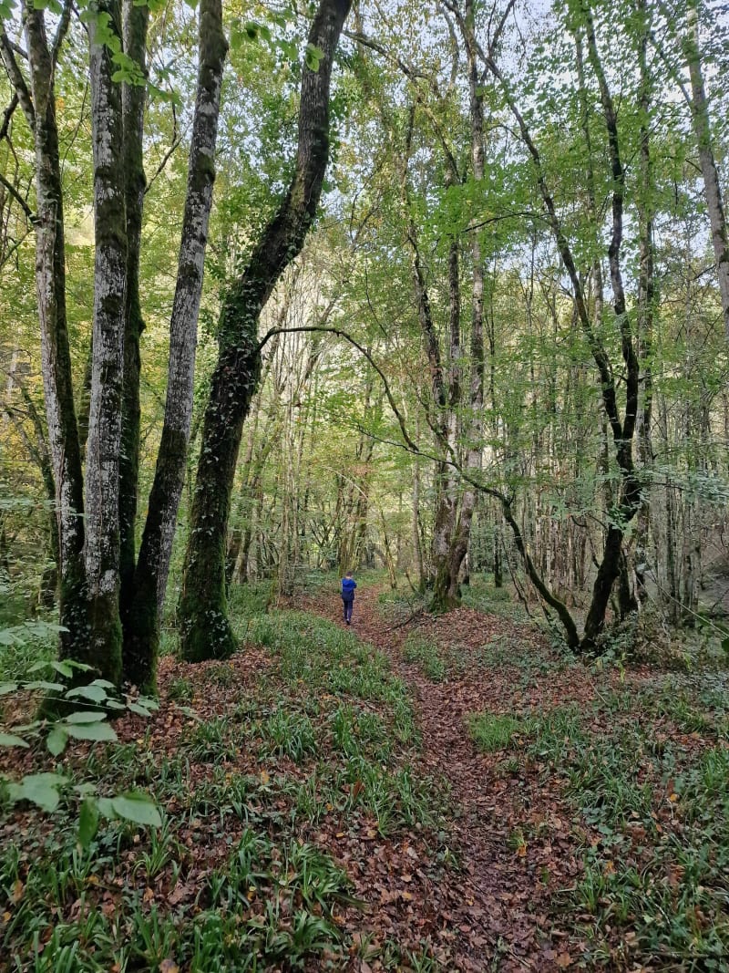 Randonnée gourmande de Cassagne par le Viaur - Cassagnes-Bégonhes