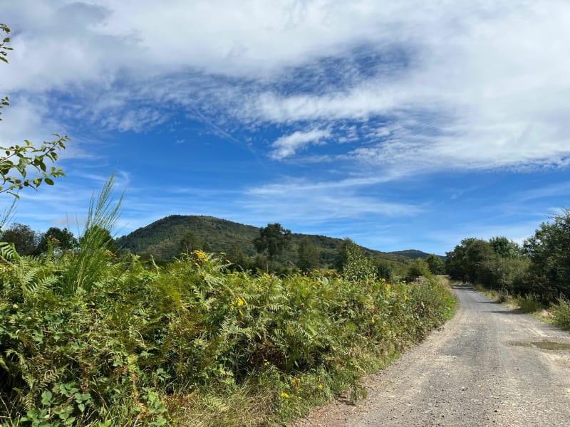 Wandel rond en op de Puy de Louchadière - Saint-Ours