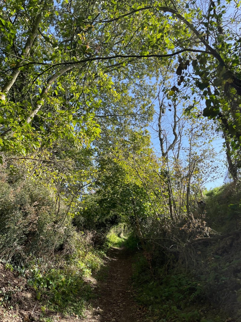 Forêt, lac et golf autour de Baugé - Baugé en Anjou