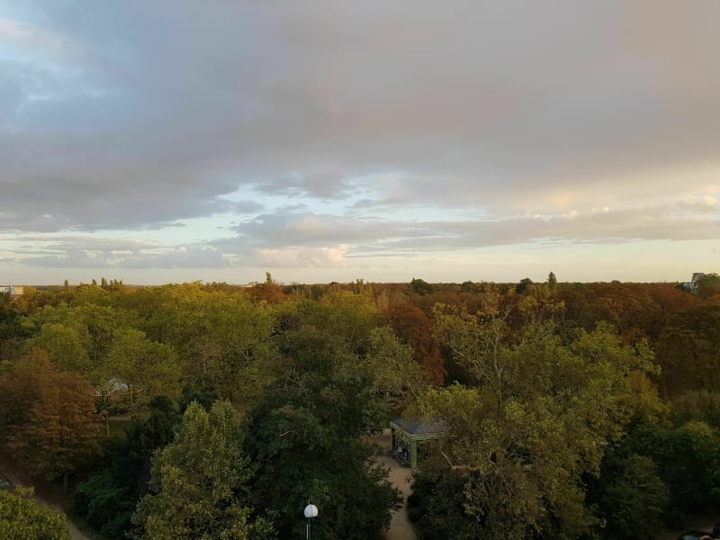 Traversée du bois et tour de Marne - Saint-Mandé