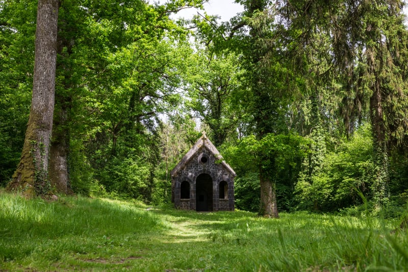 Forêt d'Andaine - Parcours du Roi Arthur - Bagnoles de l'Orne Normandie