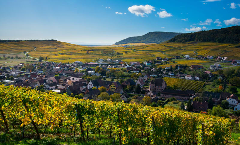 Le chemin des Celtes - Soultzmatt