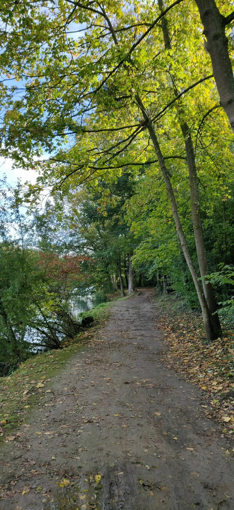 Vtt entre Marne et bois - Le Perreux-sur-Marne