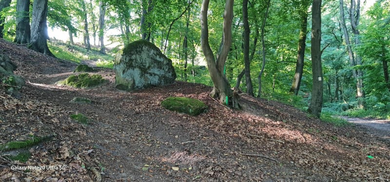 Petite balade depuis la Cité Jeanne d'Arc - Saint-Avold