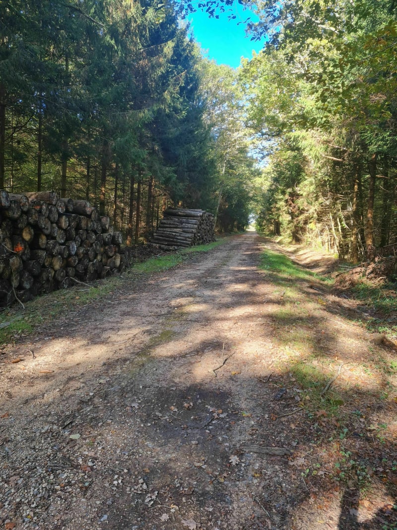 Randonnée vtt accessible à tous à Saint Martin en Bresse - Saint-Martin-en-Bresse