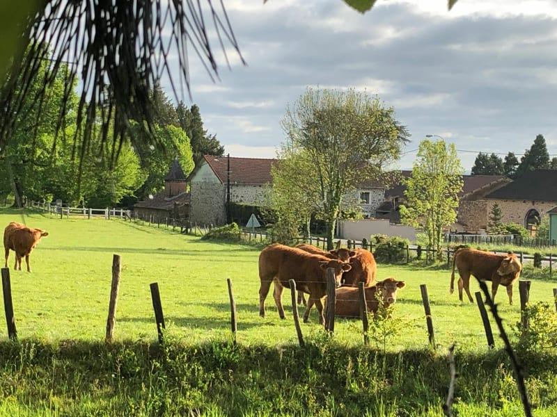 Autour de Puy Méry - Le Vigen