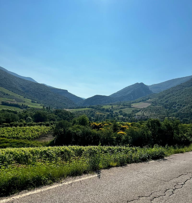 Entre Dentelles et Ventoux - Beaumes-de-Venise