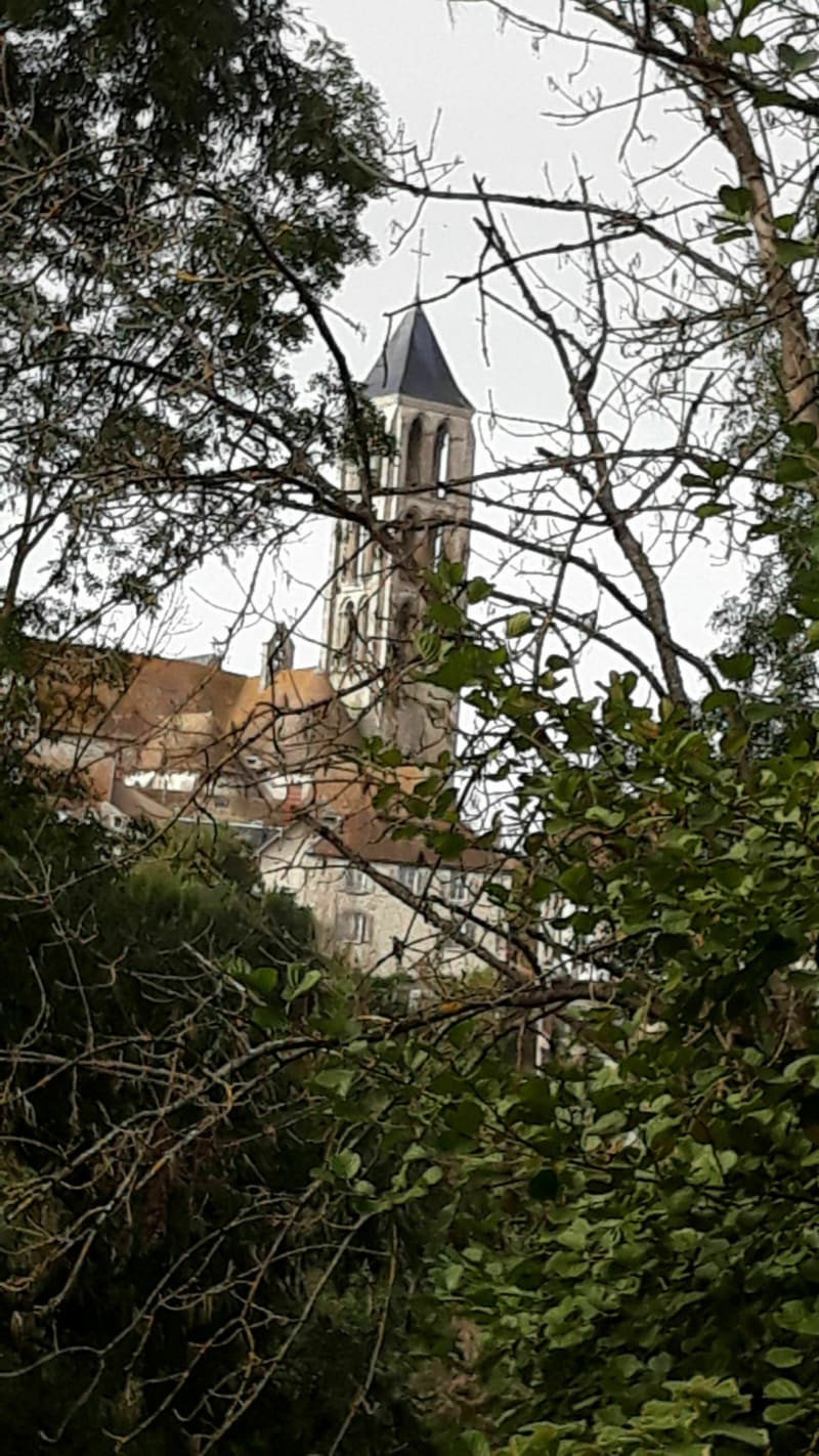 Bords du fusain - Château-Landon