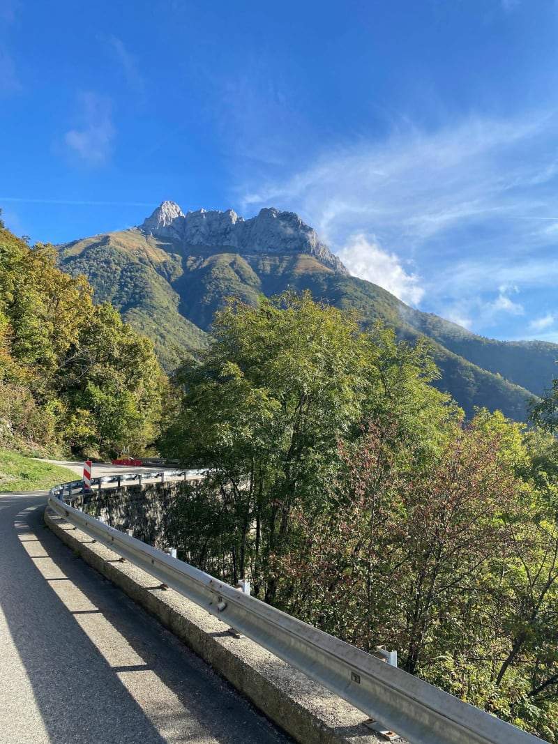 Descente en VTT du col du Frêne par la forêt - Saint-Pierre-d'Albigny