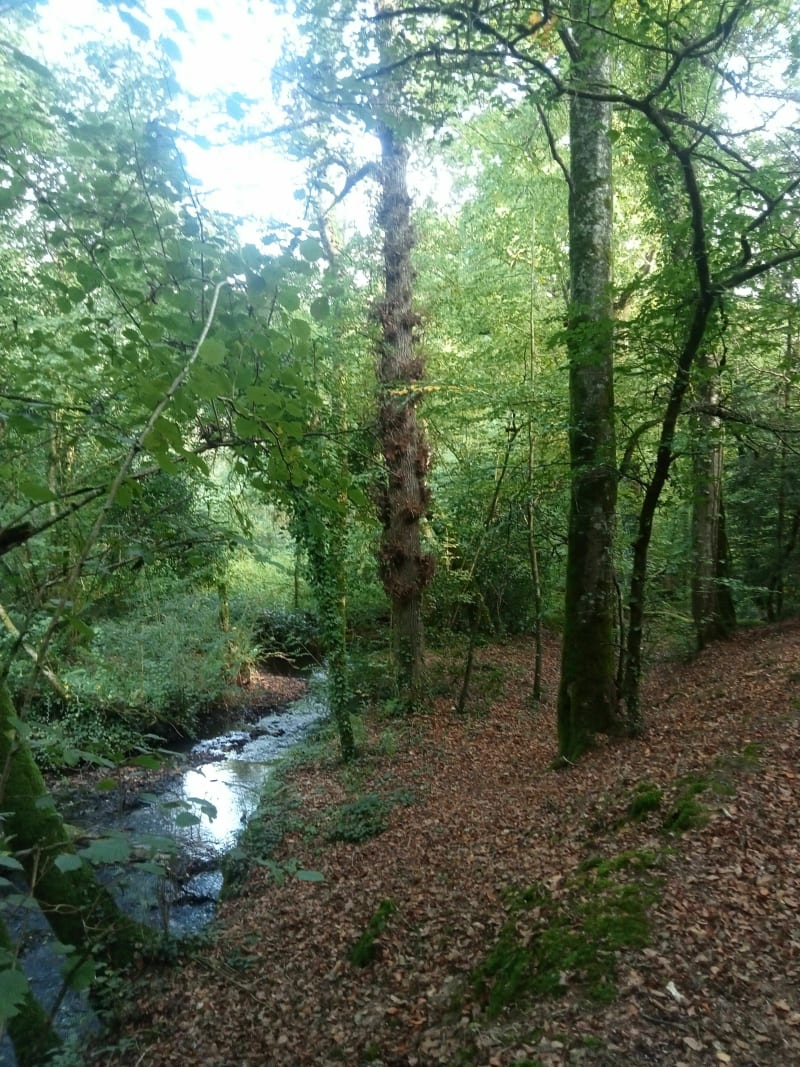 Entre rivière du Leff et ruisseau de Poul Jaudour - Quemper-Guézennec