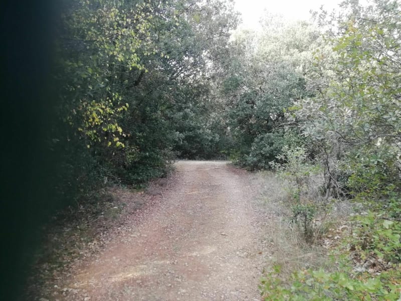 Balade dans les bois de Chabriac - Vagnas