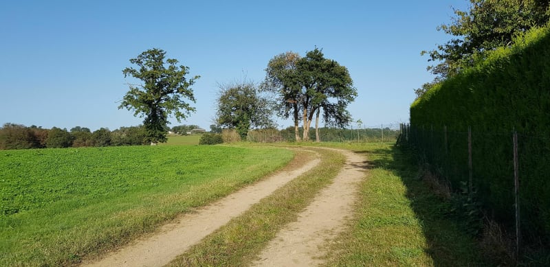 Vallée du Couesnon-Forêt de Haute-Sève - Mézières-sur-Couesnon