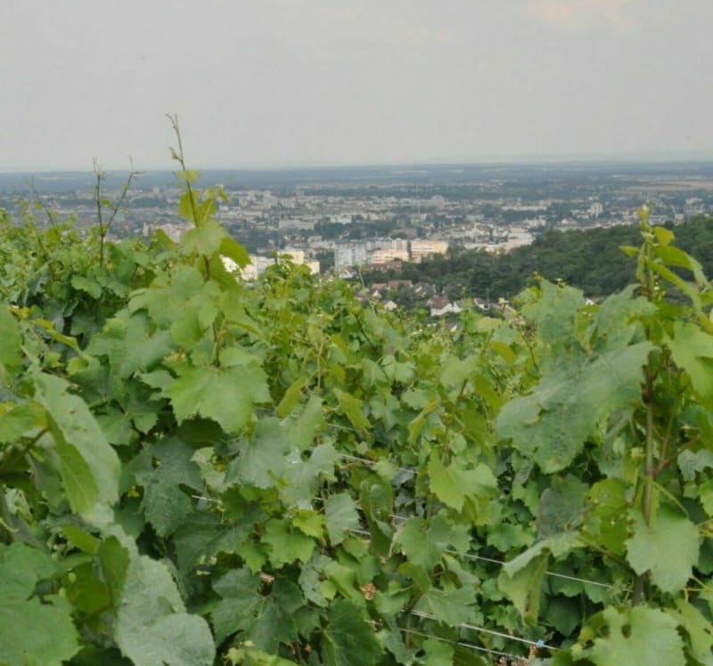 Tour de Dijon - Quetigny