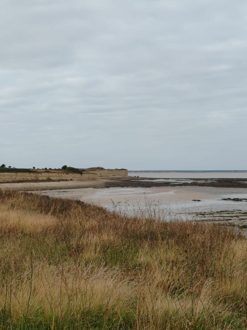 Entre chemins, mer et marais à Nieul-sur-Mer - Nieul-sur-Mer