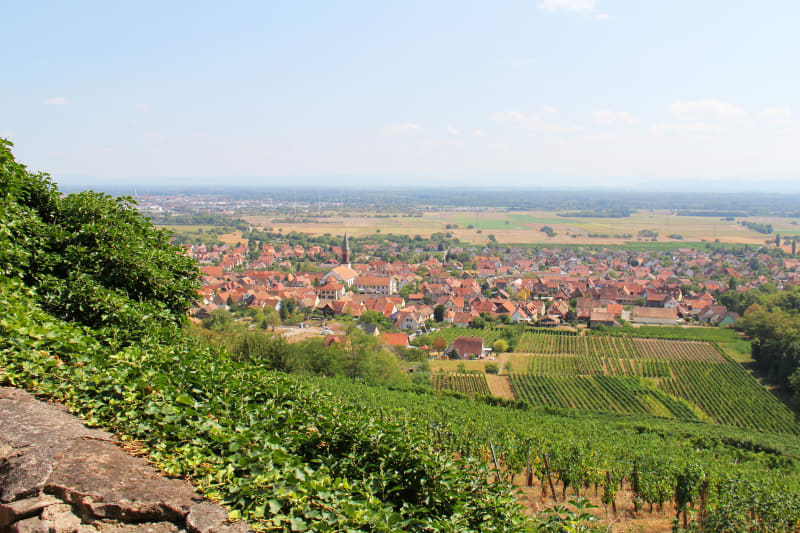 Du Val de Moder au pays des houblonnières - Haguenau