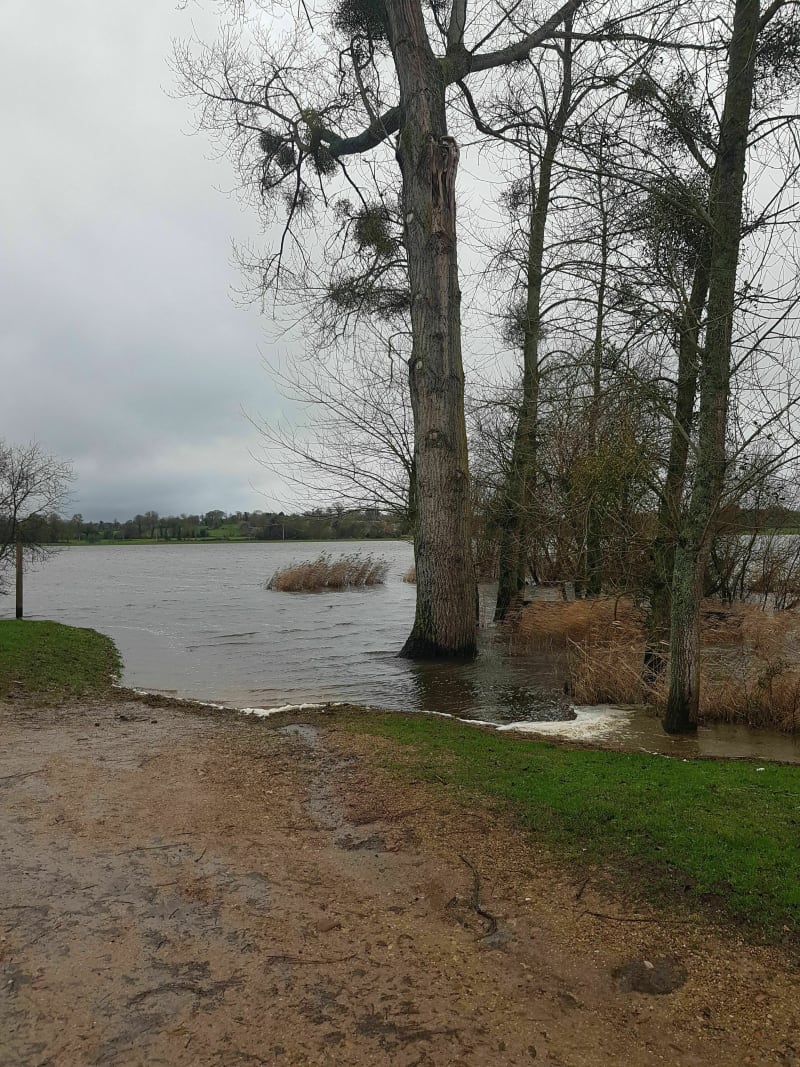 Les marais du Cotentin - Étienville