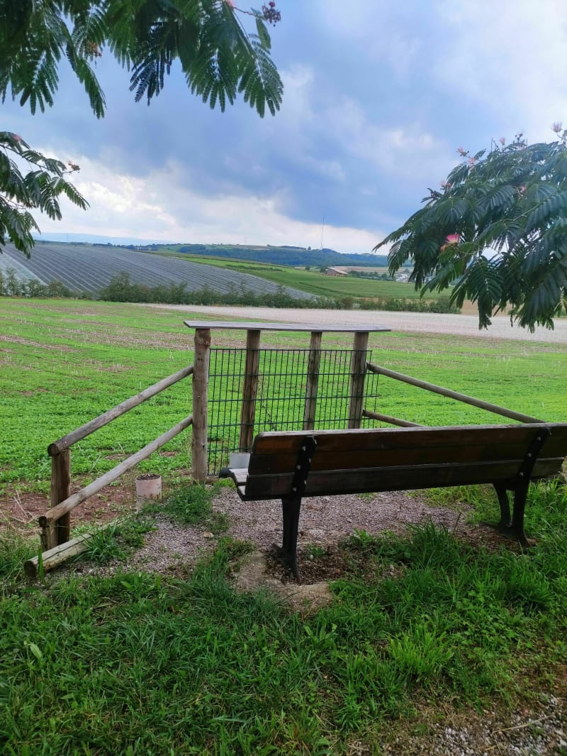 Belle balade dans le Kochersberg - Willgottheim
