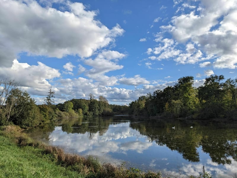 Belle balade entre prés, bois et eau à Vaudrey - Vaudrey