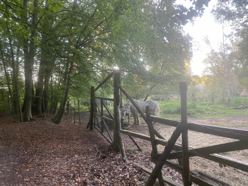 Balade à Coye-la-Forêt - Coye-la-Forêt
