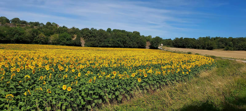 Boucle du Rhône depuis Parmilieu - Parmilieu