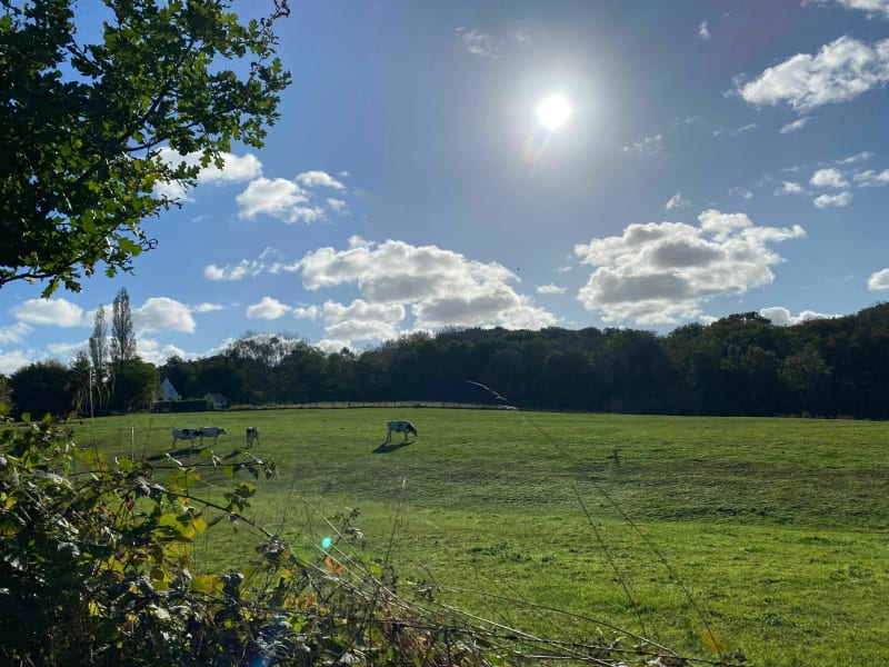 Rando entre Saint-Jans et Berthen - Saint-Jans-Cappel