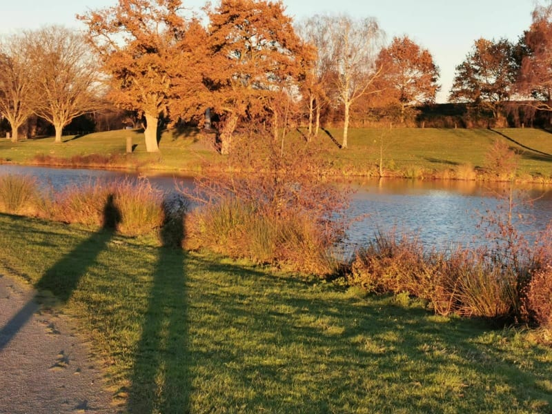 Promenade tranquille autour de Teillé - Teillé