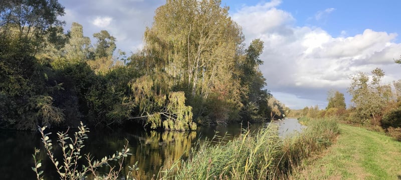 Le marais des vaches - Chipilly
