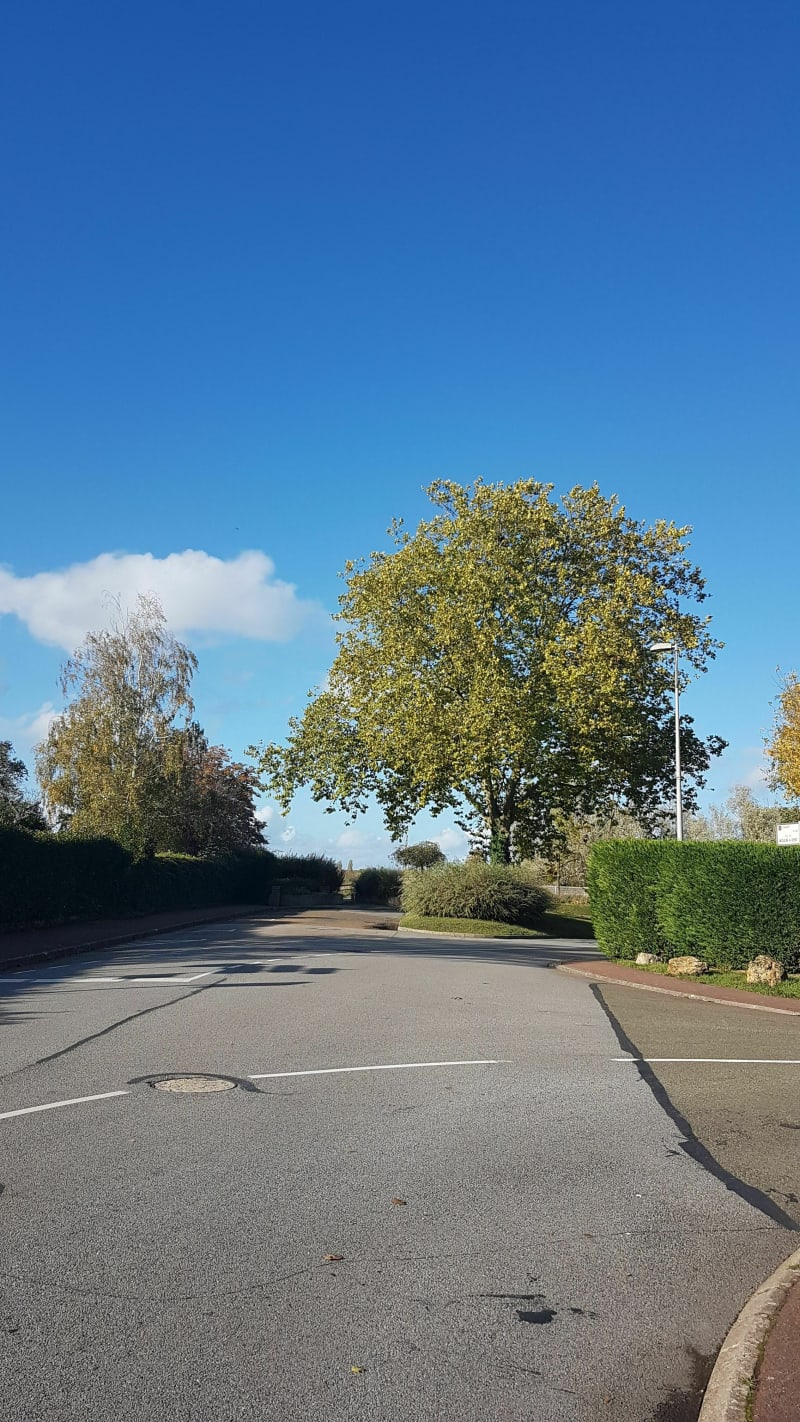 Balade vélo de Coignières à Maurepas - Coignières
