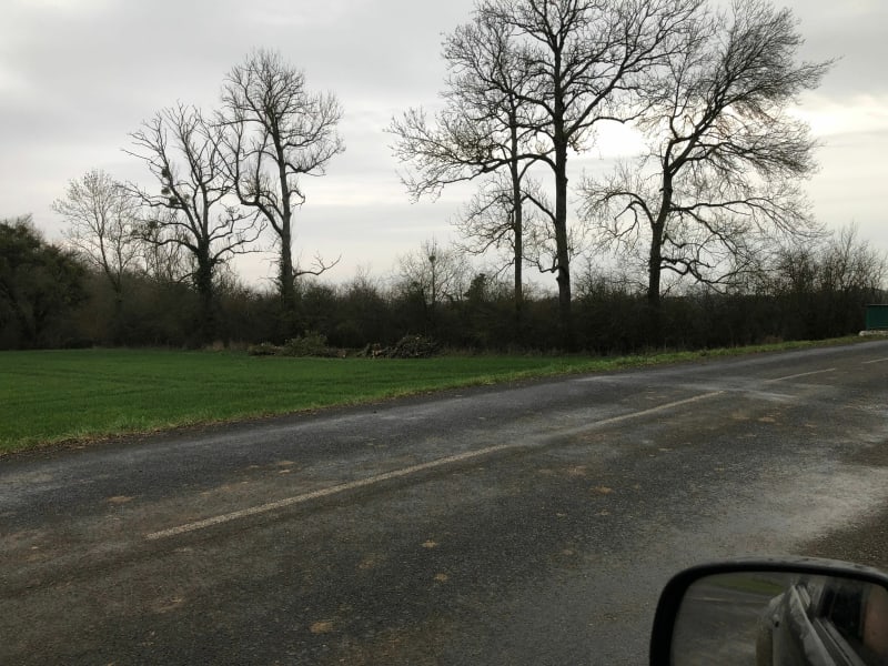 Grand tour du lac du Der - Éclaron-Braucourt-Sainte-Livière