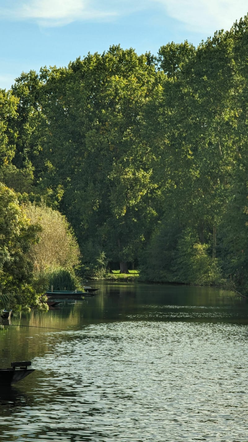 Belle balade à Coulon - Coulon