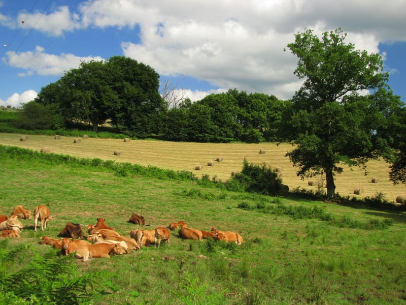 Boucle entre Fleurat et Dun-le-Palestel - Fleurat