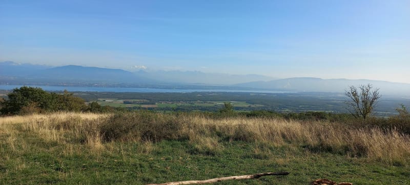 Balade au mont Mussy - Divonne-les-Bains